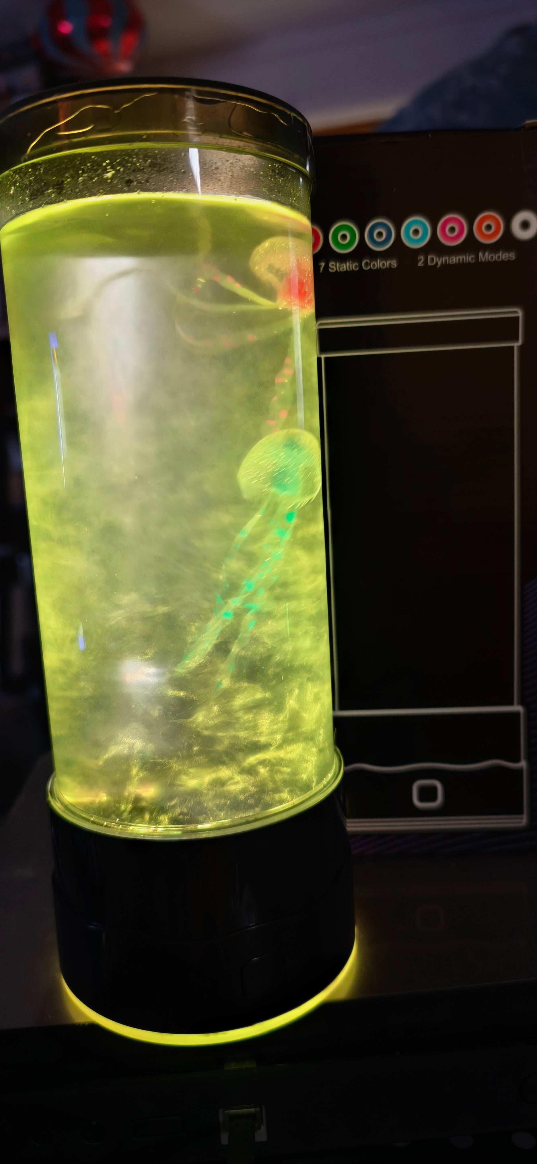 Jellyfish Lamp